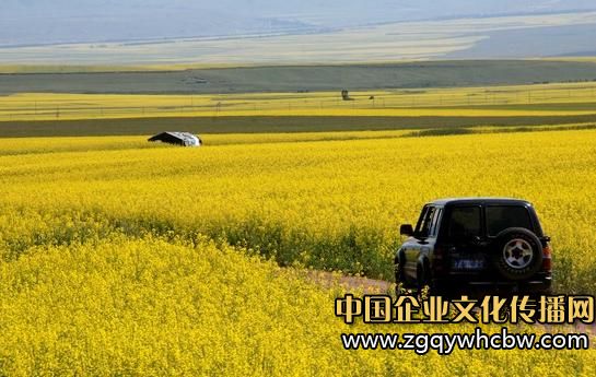 出臺(tái)房車露營(yíng)地產(chǎn)業(yè)相關(guān)政策7.JPG