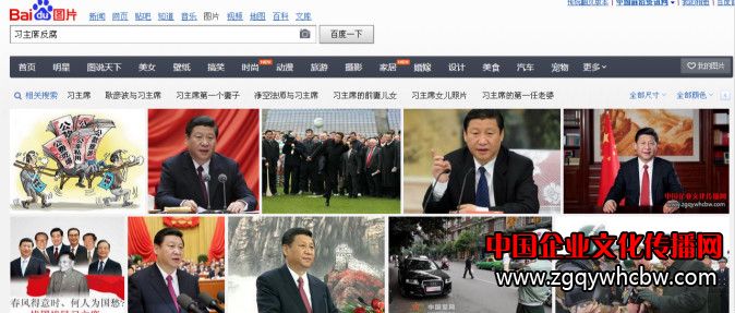習(xí)主席反腐.jpg