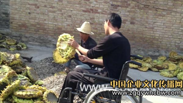 輪椅上的夢想——我的核桃人生3.JPG