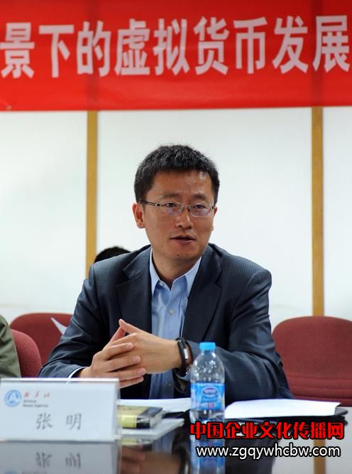 互聯(lián)網(wǎng)虛擬貨幣研討會張明.JPG