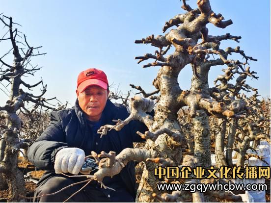 微信圖片編輯_20240108143116.jpg