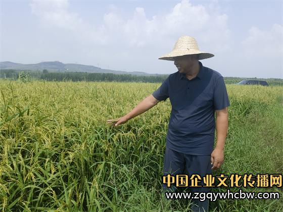 微信圖片_20240820111624.jpg