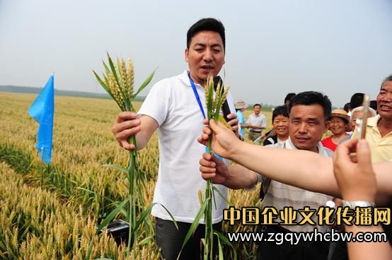 藍天化工:糧田測產(chǎn)帶來增產(chǎn)風(fēng)暴1.JPG