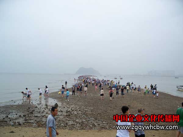 100_6729.JPG
