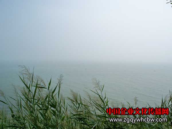 100_6777.JPG