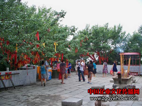 100_6749.JPG