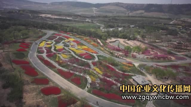 大連英歌石植物園:中國(guó)最美郁金香展4.JPG