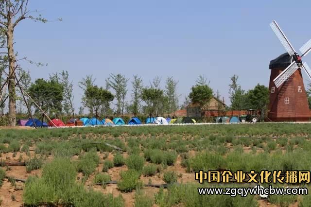 2015中國(guó)首屆兒童露營(yíng)大會(huì)完美落幕2.JPG