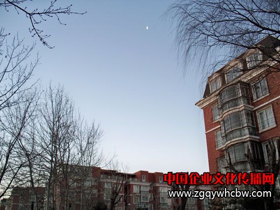 100_7439.JPG