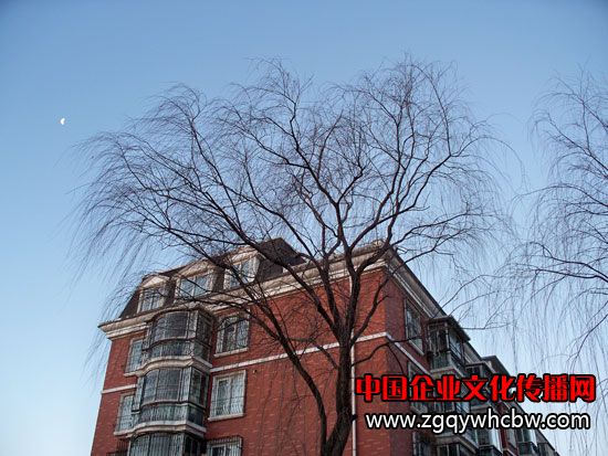 100_7440.JPG