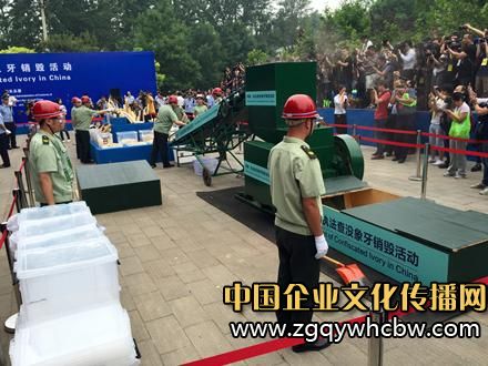 中國政府公開銷毀662公斤查沒象牙1.JPG