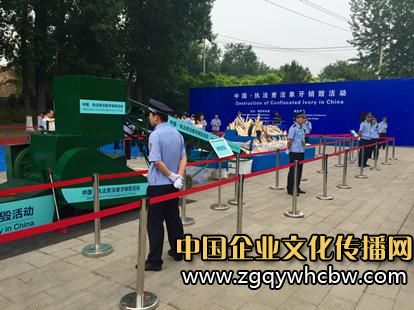 中國政府公開銷毀662公斤查沒象牙.JPG