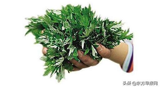清明嘗鮮品青團(tuán),上海姜大姐純手工青團(tuán)真正吃貨才知道