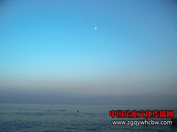 100_6841.JPG